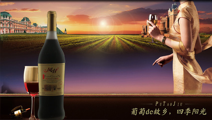 新疆名酒 伊力特 葡萄酒 伊珠全汁桃红葡萄酒 红酒批发 正品__世界工厂网