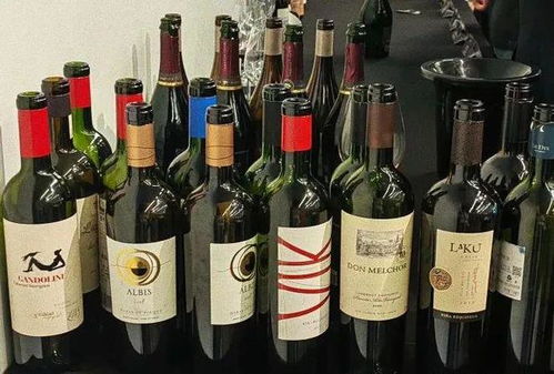 新世界顶流 葡萄酒大师侍酒大师都爱的 精品智利风