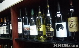 酒城葡萄酒专门店 city wine cellar专营各类葡萄酒零售及批发