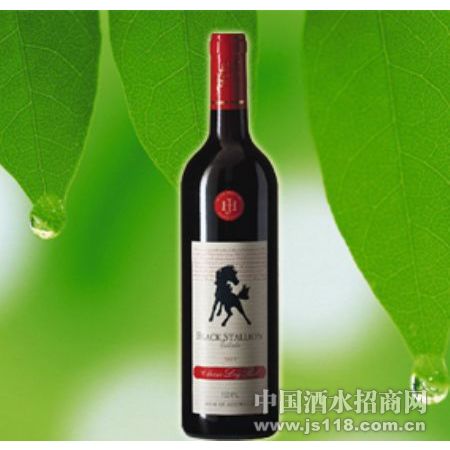 经典干红葡萄酒火热招商中 黑骏马澳大利亚精品葡萄酒