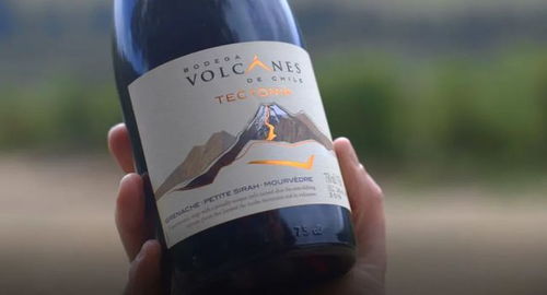 量额增幅超120 ,智利精品葡萄酒何以昂首中国